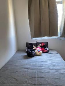 Bett in einem Zimmer mit Fenster in der Unterkunft Apartamento Super Aconchegante em Ambiente Familiar in Contagem