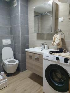 Koupelna v ubytování Apartman SANJALICA Divčibare