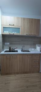 Kuchyň nebo kuchyňský kout v ubytování Apartman SANJALICA Divčibare