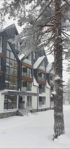Apartman SANJALICA Divčibare v zimě