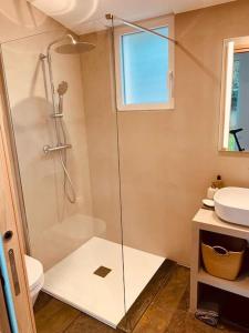 La salle de bains est pourvue d'une douche, de toilettes et d'un lavabo. dans l'établissement Studio Lyon Collonges au Mont d'Or, à Collonges-au-Mont-dʼOr