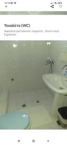 a bathroom with a tub and a toilet and a sink at Άνετο εξοχικό με ιδιωτικό χώρο στάθμευσης in Astrítsa +12 photos