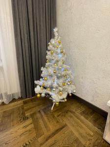 文尼察Apartment on Soborna 101的相册照片