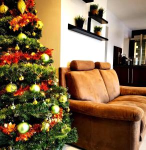 a christmas tree in a living room next to a couch at Le Repaire d'Alfred in Stavelot