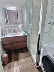 a bathroom with a sink and a shower at Appartement T2 Prado Chanot Plage Marseille in Marseille