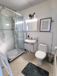 a bathroom with a shower and a toilet and a sink at City Stay Apartments in Jyväskylä