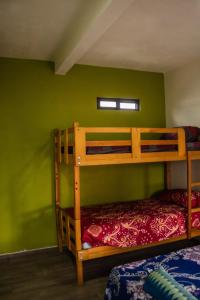 two bunk beds in a room with a green wall at Casa Biznaga in Oaxaca City