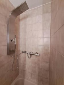 a bathroom with a shower with a phone on the wall at Residenz Schauinsland, ganzes Appartement, Sauna in Todtnau