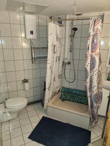 a bathroom with a shower and a toilet at Halle, TOP -PREISE, große 79 qm SD FeWo, EG, wahlweise mit 1- 3 DZ, inklusiv TV Lounge, Küche, Bad WC Einfach und gut, Langzeitmieter VB Preise in Halle an der Saale +41 photos