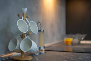 Fotografie z fotogalerie ubytování Mans lux 8 Apartman v destinaci Zlatibor