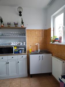 Kuchyň nebo kuchyňský kout v ubytování Casa Zura