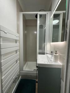 La petite salle de bains est pourvue d'un lavabo et d'une douche. dans l'établissement L'Escale, à Rennes