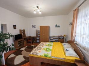 a bedroom with a bed and a living room at Cazare la Mitică in Subcetate