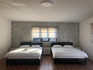 sypialnia z 2 łóżkami i oknem w obiekcie Gosen Apartaments w mieście Sângeorz-Băi