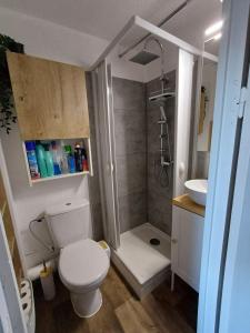 a bathroom with a shower and a toilet and a sink at Avec Wifi - Studio en pleine nature Puyvalador in Puyvalador
