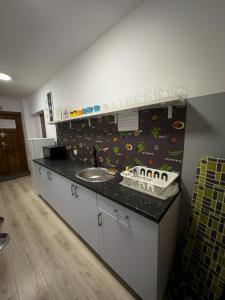 a kitchen with a sink and a counter top at Kwadrat Apartamenty Grottgera in Rzeszów