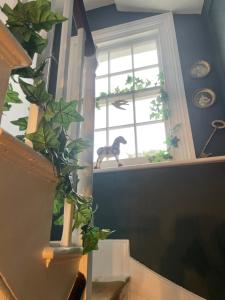 a dog sitting on a window sill in a room at Beautiful London Victorian house, sleeps 12 in London