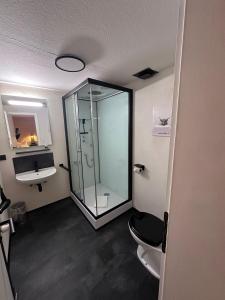 a bathroom with a glass shower and a toilet at Gasthof zum goldenen Schiff Anreise 24 7 digitale Rezeption Gratis Parkplatz in Marktbreit
