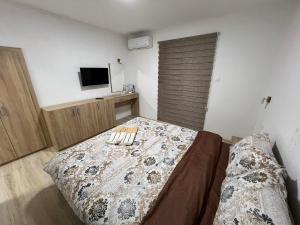 a bedroom with a bed and a television in it at Royal Stars Apartments in Strumica