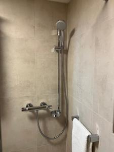 a shower with a shower head in a bathroom at Panorama Appartements in Egg