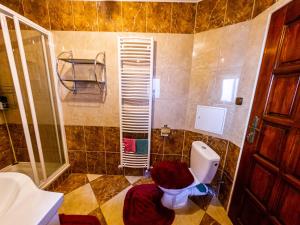 a bathroom with a toilet and a shower and a sink at Chata Mojer in Ždiar