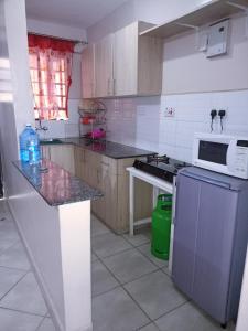a kitchen with a stove and a microwave at Fantastic Homes 1102 in Nairobi
