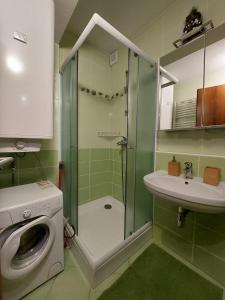 y baño con ducha, lavabo y lavadora. en Cozy family apartment with garage, en Donovaly