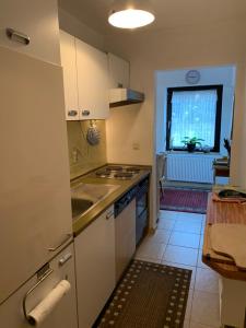 een keuken met een wastafel en een fornuis bij Schönblick23 in Langfurth 