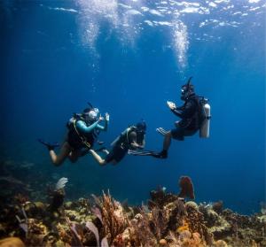 un grupo de personas nadando sobre un arrecife de coral en Apartahotel en Taganga