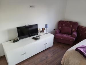 A television and/or entertainment centre at Apartman Mica i Živo