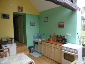 a kitchen with green walls and a white stove top oven at Les Buissonnets in Giverny