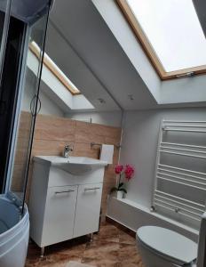uma casa de banho com um lavatório e um WC em Casa Truța em Topliţa