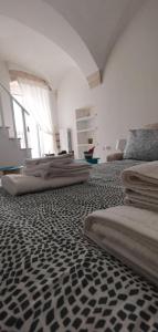 Φωτογραφία από το άλμπουμ του MI PUGLIA Casa vacanze σε Putignano