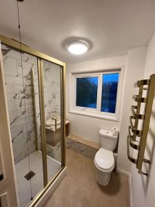 y baño con aseo y ducha acristalada. en Lovely Furnished 1 Bedroom Flat in historic St Albans. Sleeps 4, en Saint Albans