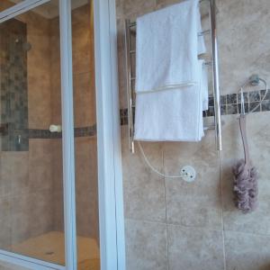 baño con ducha y puerta de cristal en Harbour Close Home, en Ciudad del Cabo