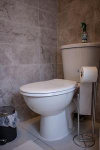a bathroom with a white toilet in a room at Cosy apartment 7 mins walk from Wembley stadium in London