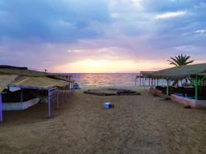 a beach with some umbrellas and the ocean at Antika camp in Nuweiba