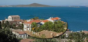 an island in the ocean with houses and palm trees at Ferahi Evler Ayvalık in Ayvalık