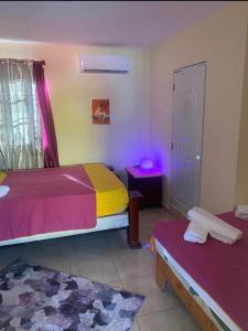 sypialnia z 2 łóżkami i fioletowym światłem w obiekcie DOÑA CORNELIA w mieście Los Patos