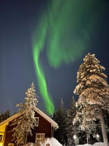 an aurora in the sky above a house and trees at Villa Peippo in Rovaniemi