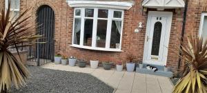 a cat sitting in front of a house with potted plants at Blaney house 21 in Newcastle upon Tyne