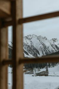 ゲルロスにあるFRÄULEIN NANNERL - Boutique Aparthotelの窓から雪山の景色を望む