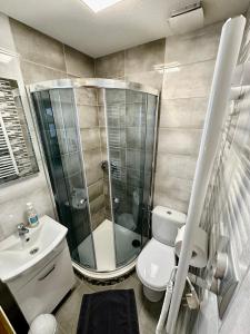 a bathroom with a shower and a toilet and a sink at Penzion Manderlak in Liptovský Mikuláš