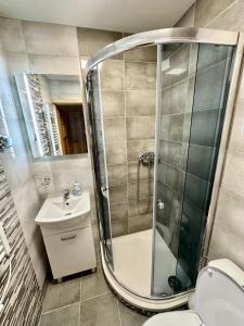 a bathroom with a shower and a toilet and a sink at Penzion Manderlak in Liptovský Mikuláš