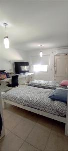 een slaapkamer met 2 bedden en een flatscreen-tv bij Oasis de Paz Natural in Ciudad Lujan de Cuyo
