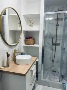 a bathroom with a sink and a shower with a mirror at Perle rare aux portes de Paris in Ivry-sur-Seine