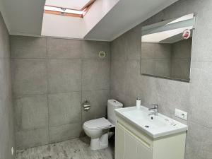 a bathroom with a toilet and a sink and a mirror at Апартаменты премиум в историческом центре "ГАЛАГОВЪ" in Uzhhorod