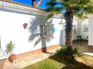 eine Palme vor einem weißen Haus in der Unterkunft Brisa Home in Chiclana de la Frontera