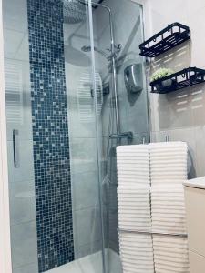 uma casa de banho com um chuveiro e uma cabina de duche em vidro. em Apartamentos Nenufar em Alhama de Aragón