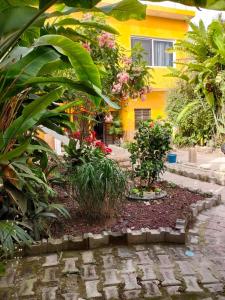 a garden in front of a yellow house with plants at Casa Amelia in San Blas